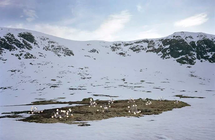 Assembly of inoperative action.JPG