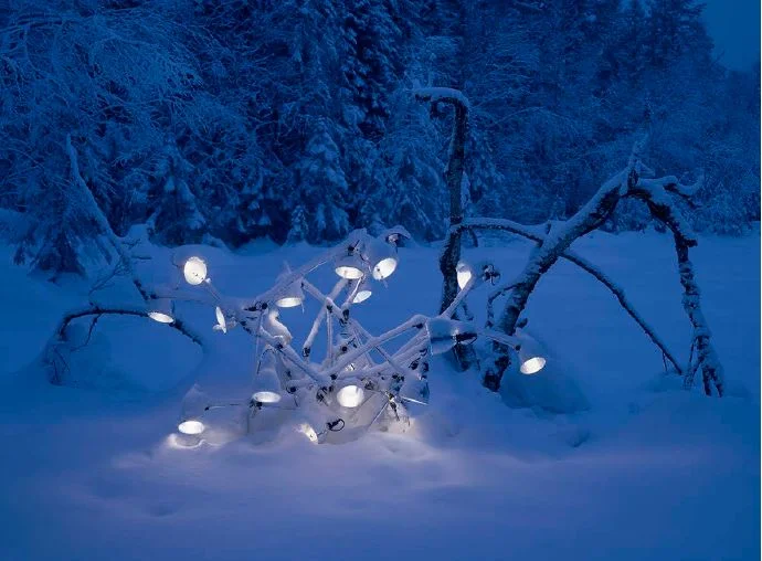 Extension of virtuous shrubs.JPG