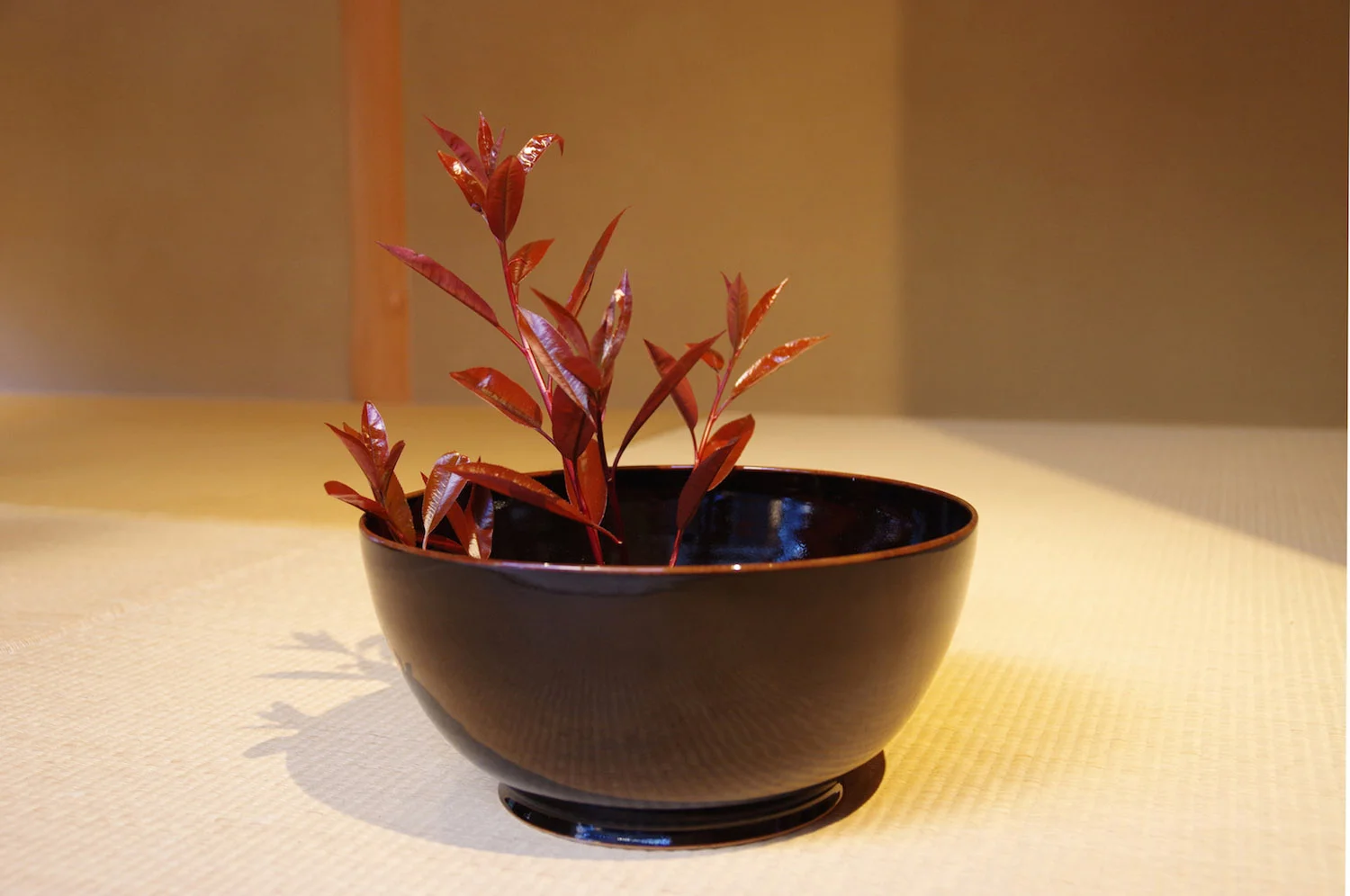 Lacquer
