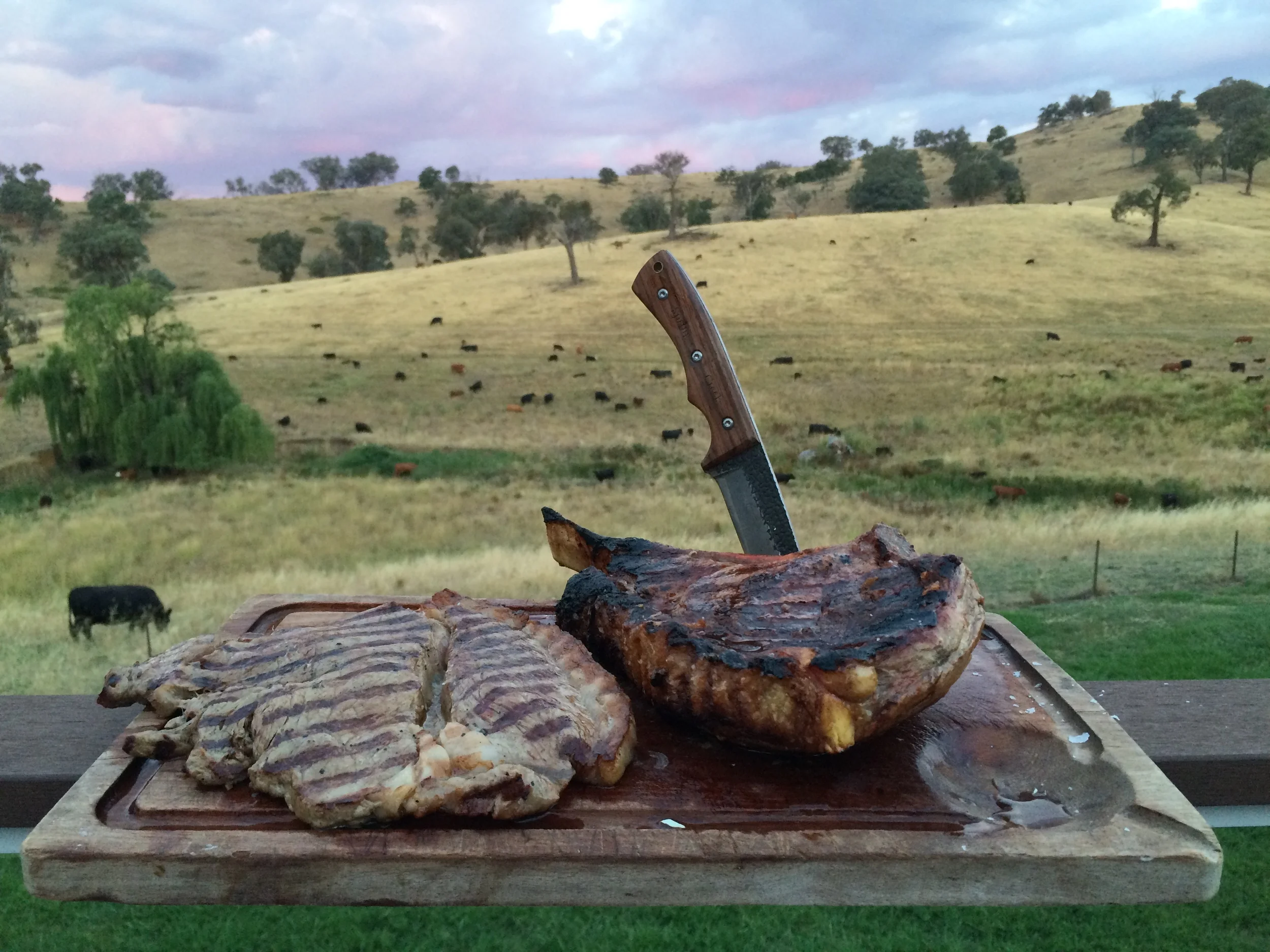 Steaks.jpg