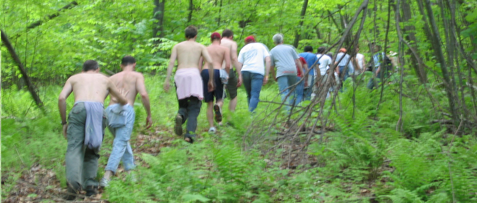Featured_walk_green.png