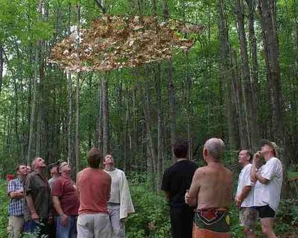 Visitors viewing part of "TreeSon"