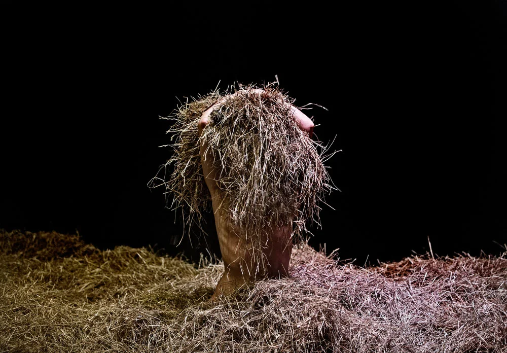 RCS - CPP Maria Braender 16.jpg