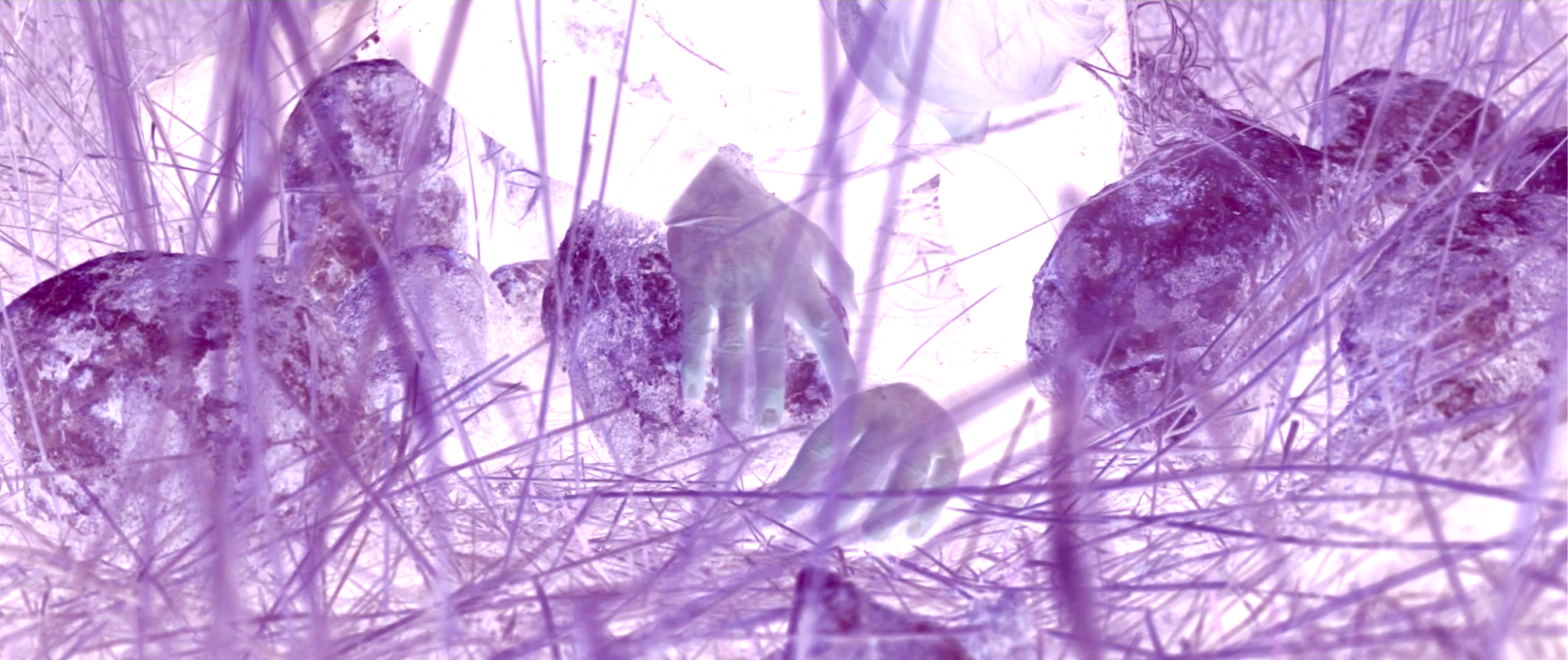  Still from the video 