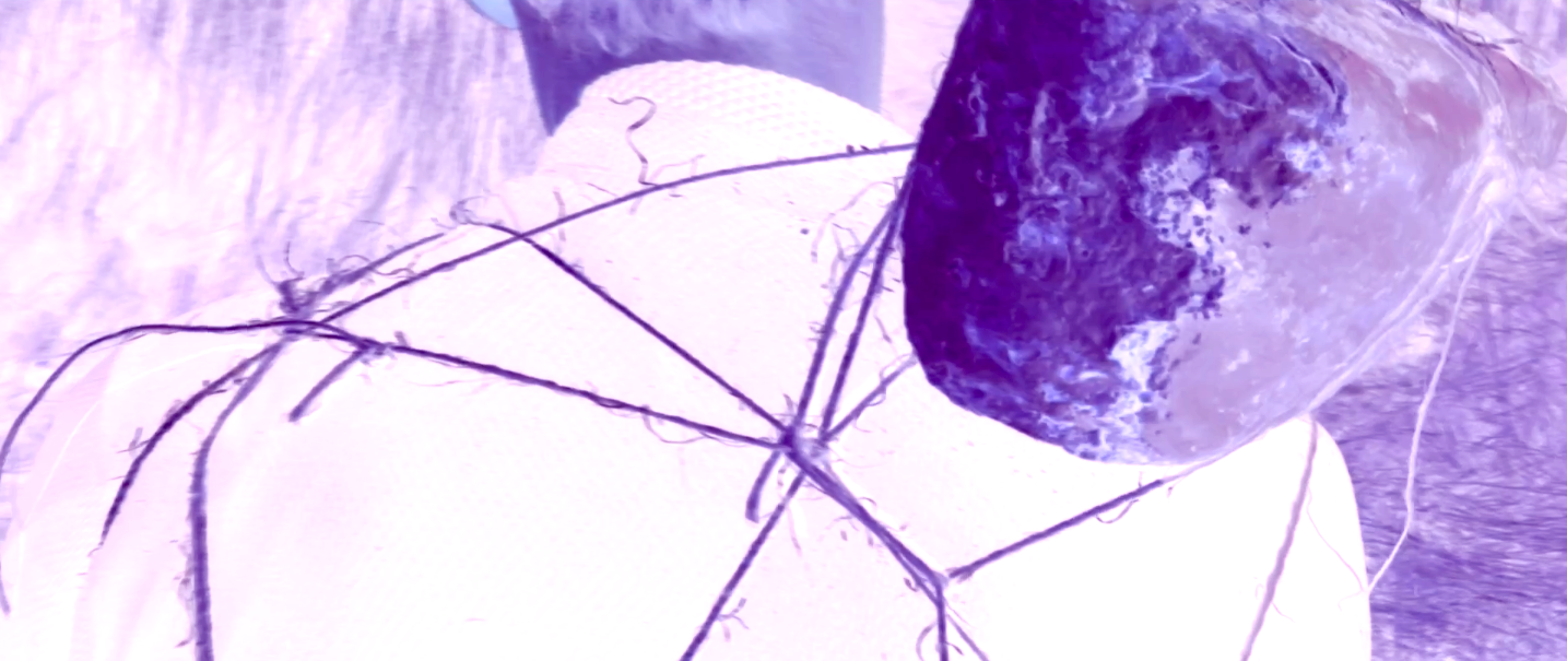 02_46.png