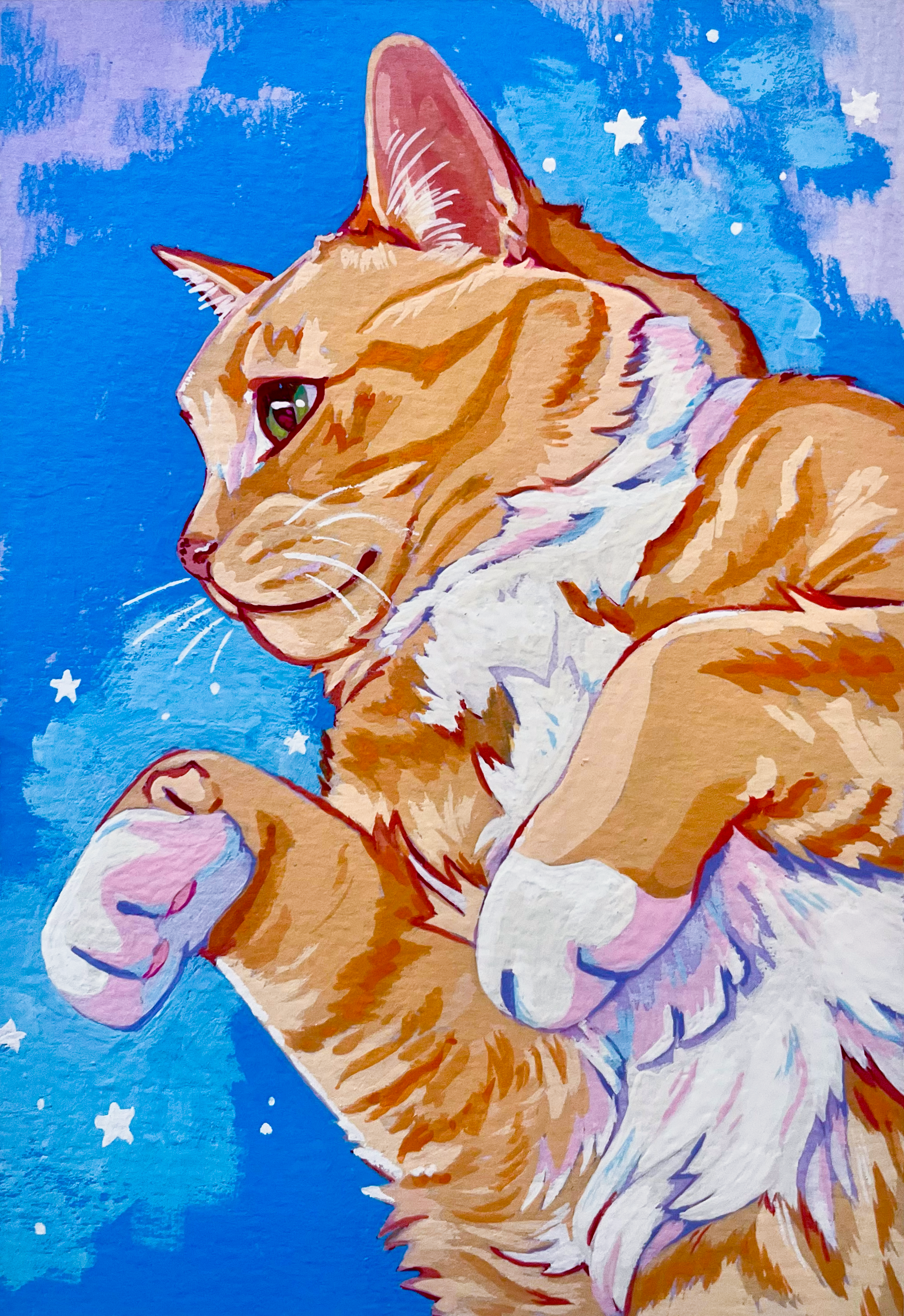 2026_MattCat1.png