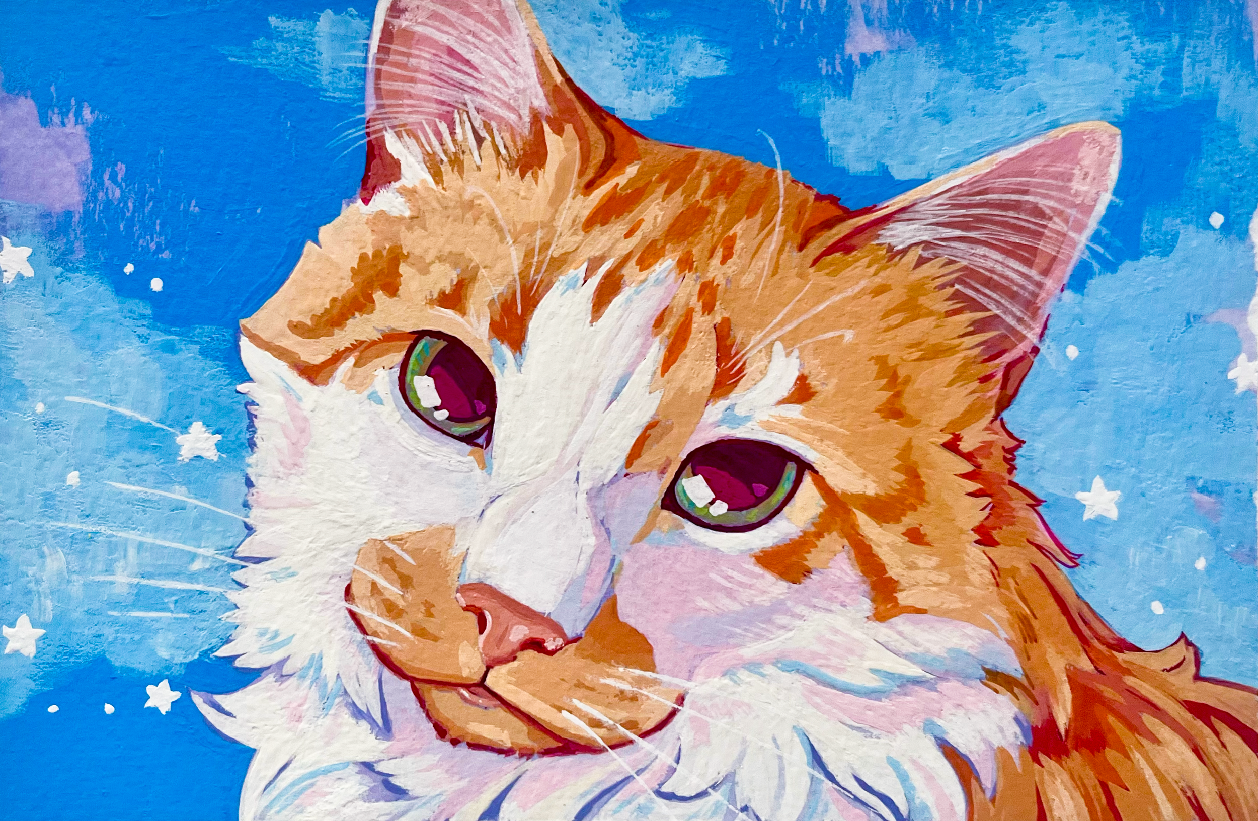 2026_MattCat2.png