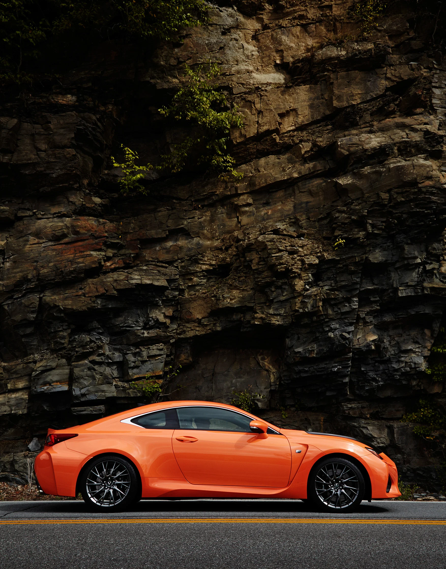 07_Lexus_Landscape_013.jpg