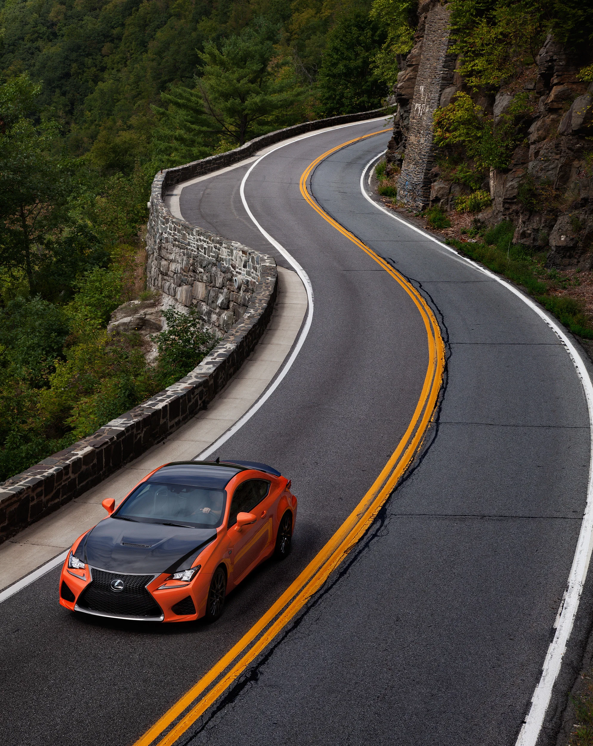 06_Lexus_Landscape_142.jpg