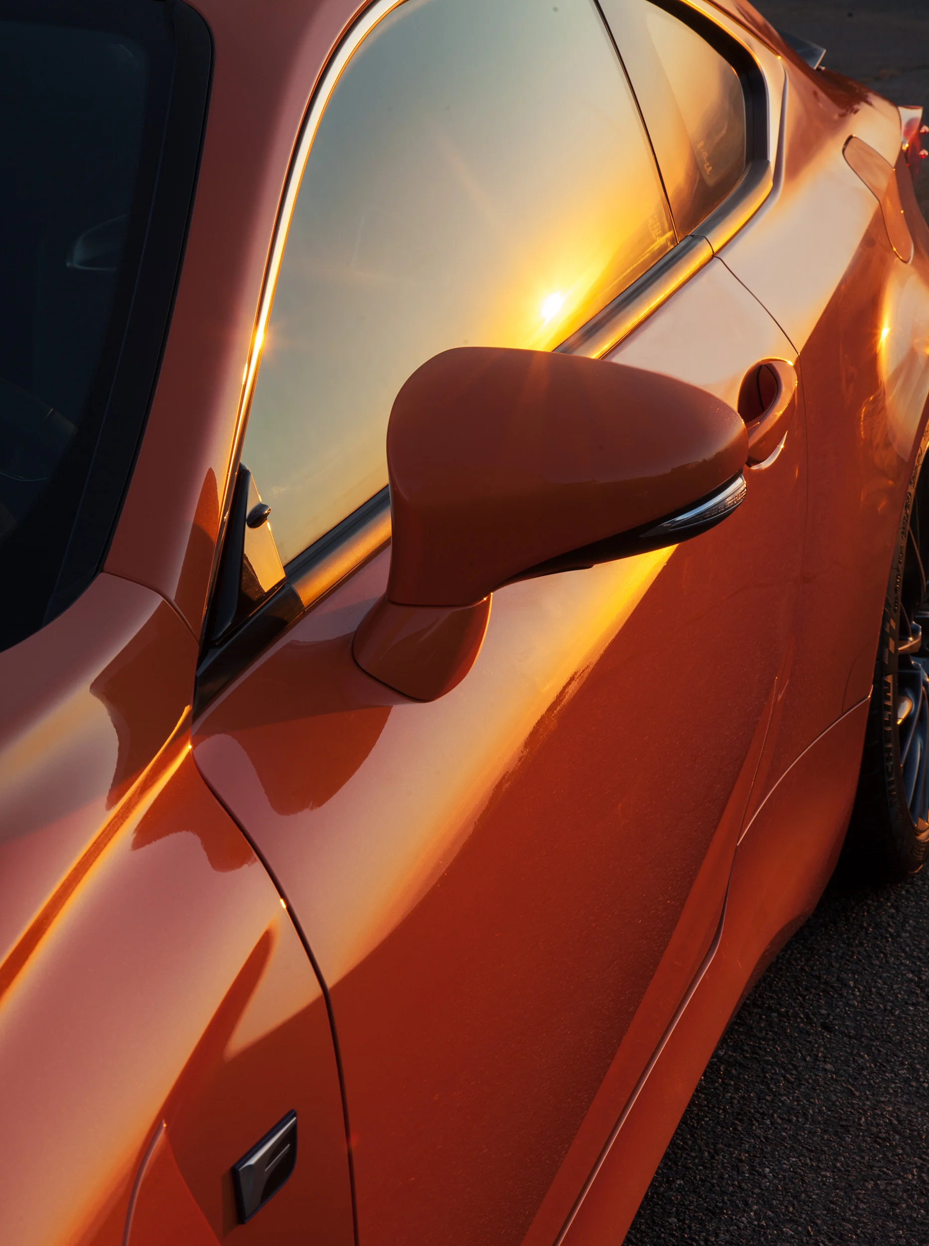 12_Lexus_Landscape_116.jpg