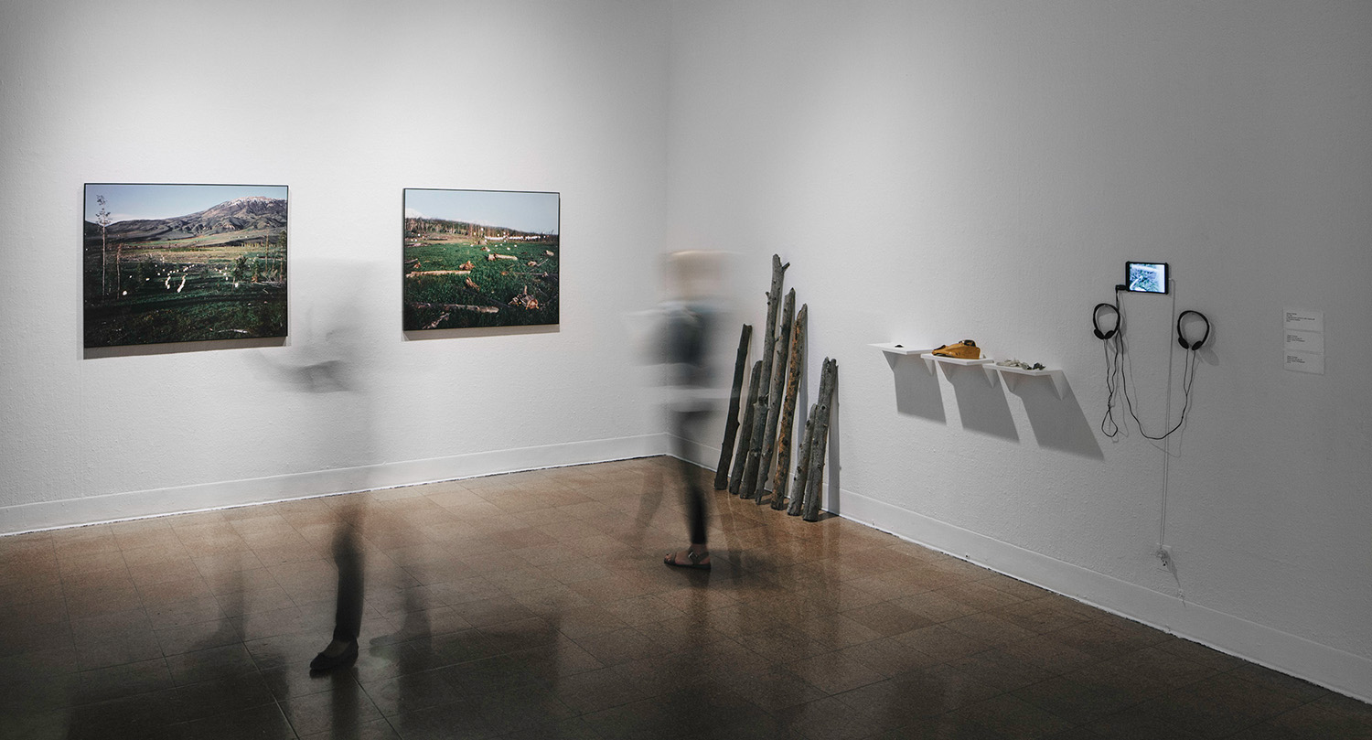 University of Arizona Museum of Art Tucson, Arizona (2015)