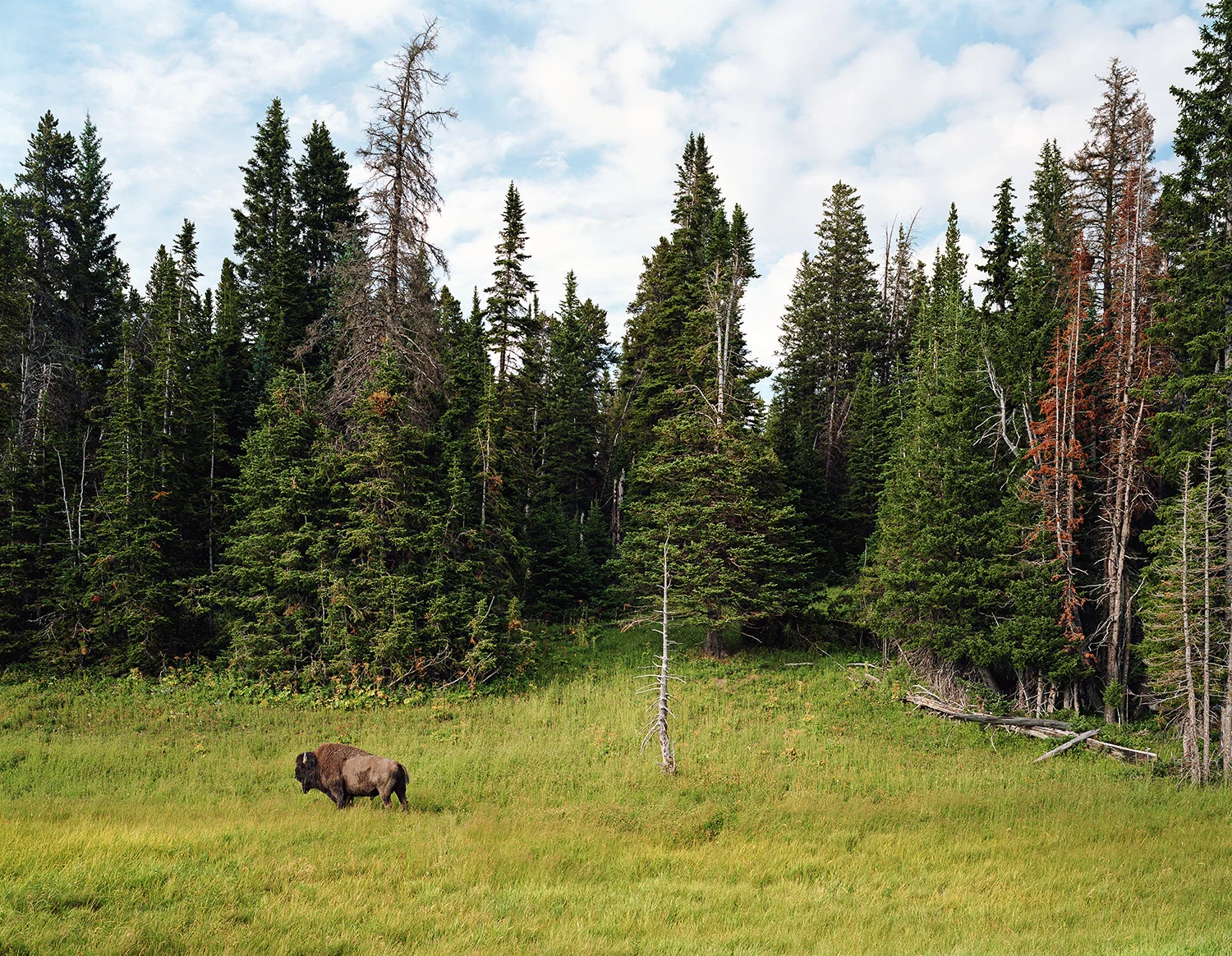 Yellowstone Park, Wyoming