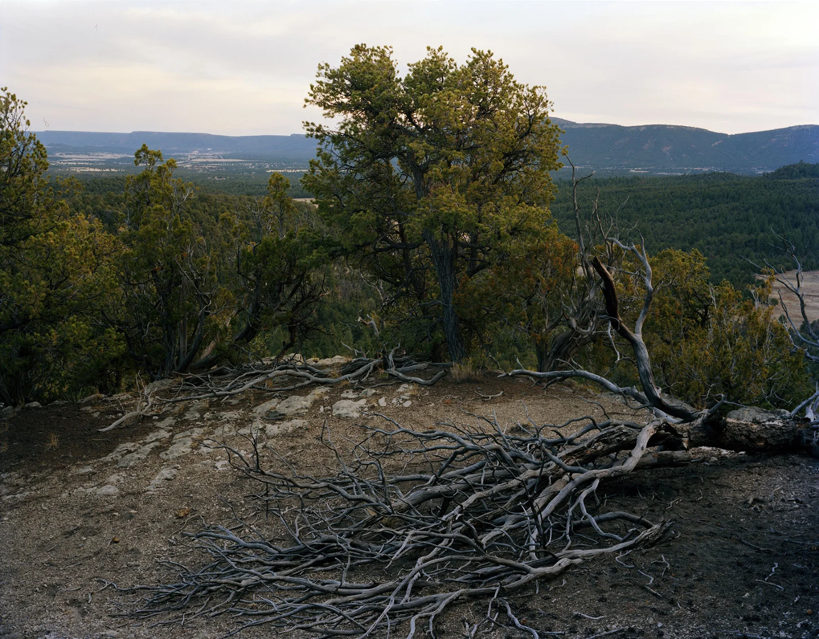 Toward Pecos, New Mexico