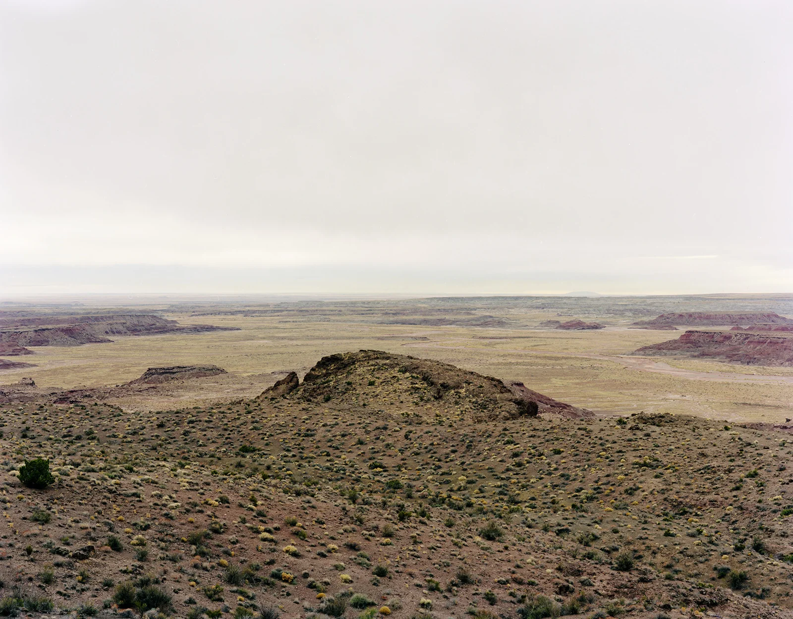 debaaa8a540c2a63-view001.jpg