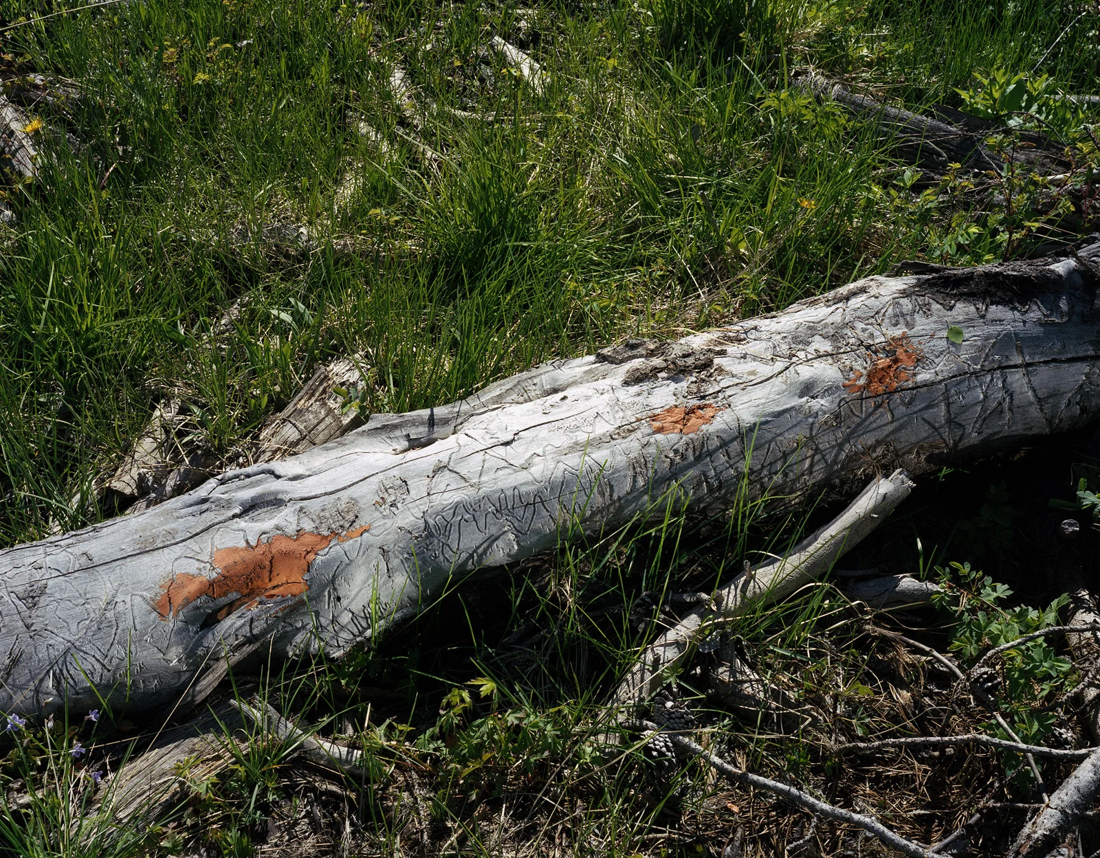 23f2598c78c4292e-ITW_C45_ND_015.jpg