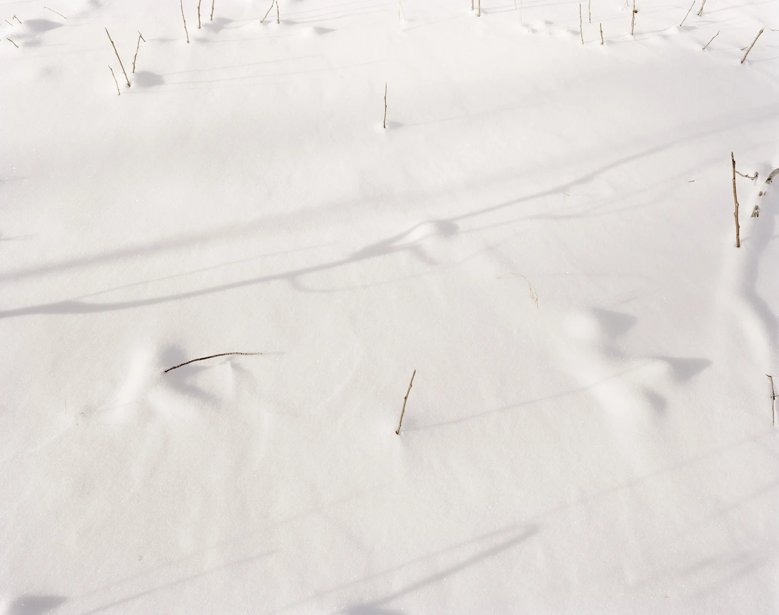62b1873d9a6e082b-snow2.jpg
