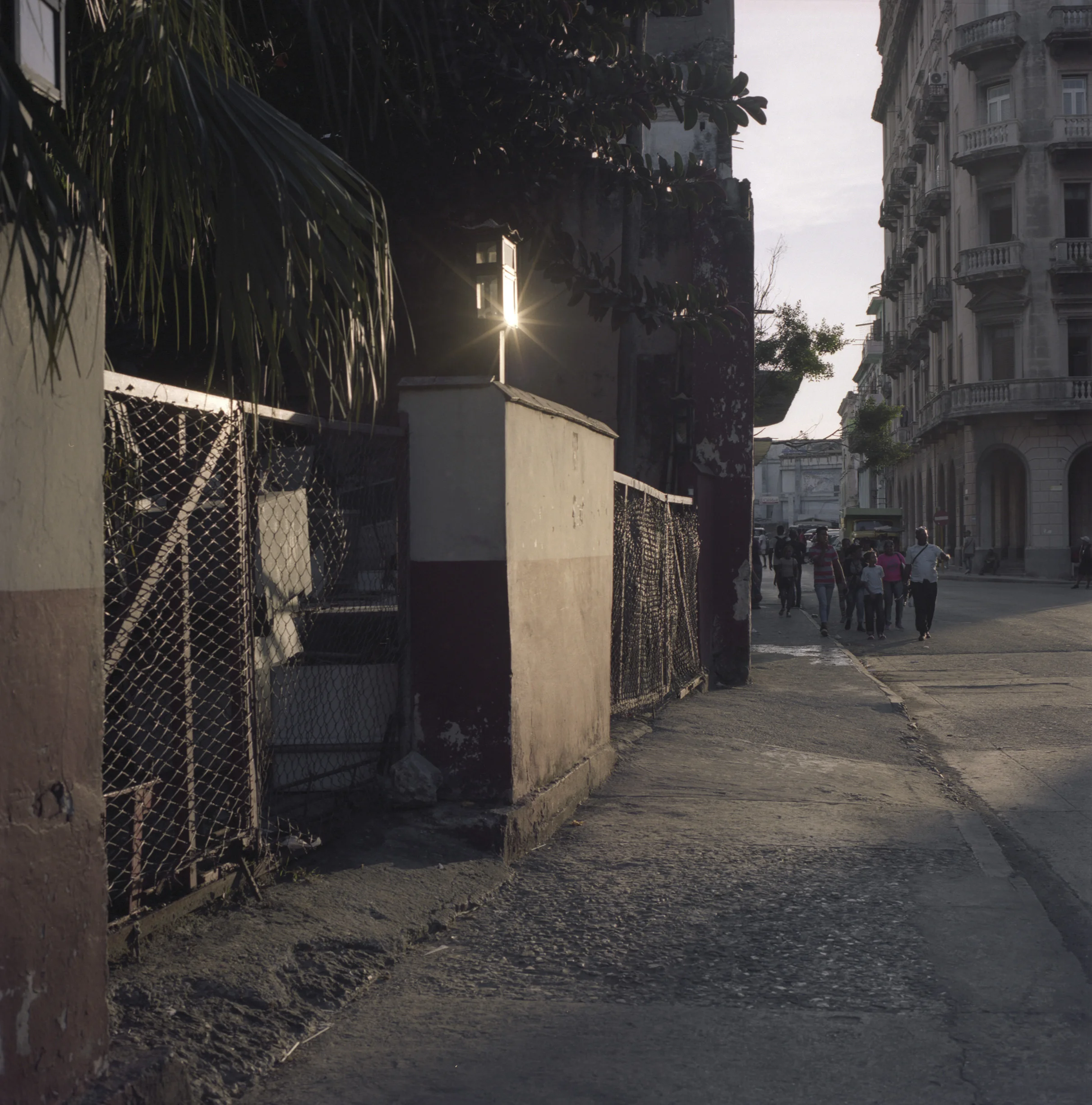 sunkissed002.jpg