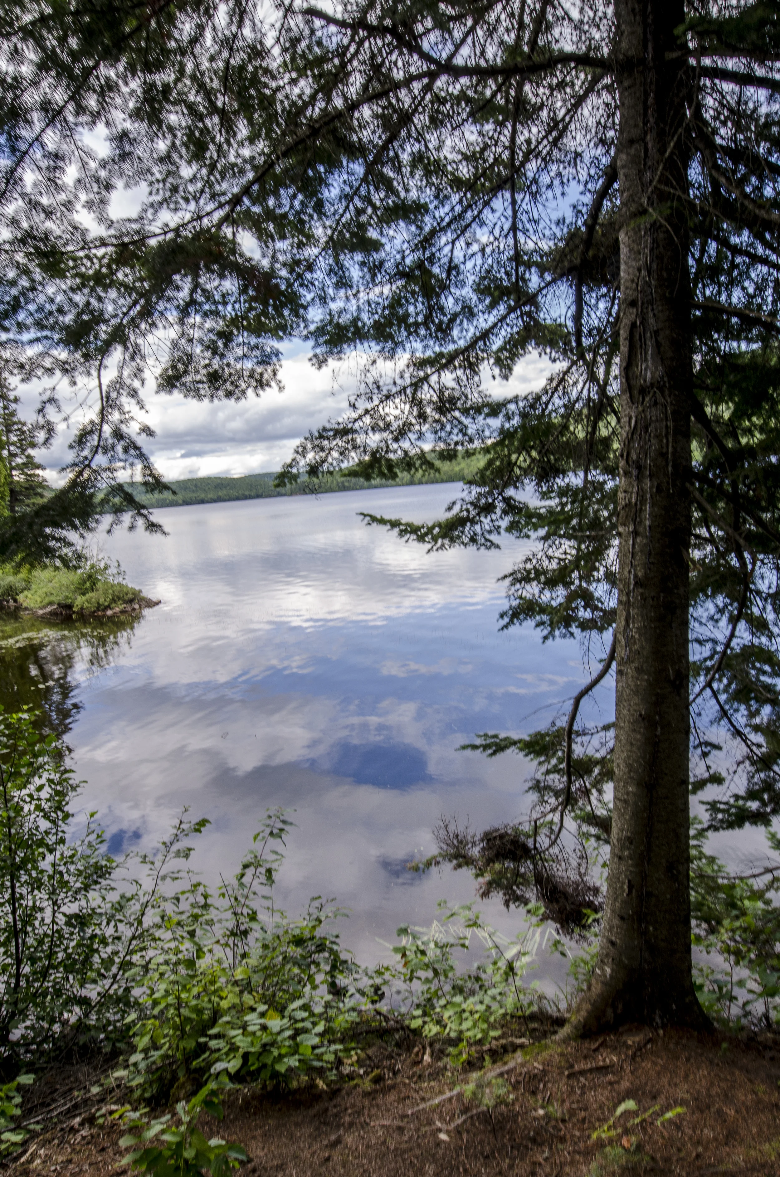 _DSC9867.JPG