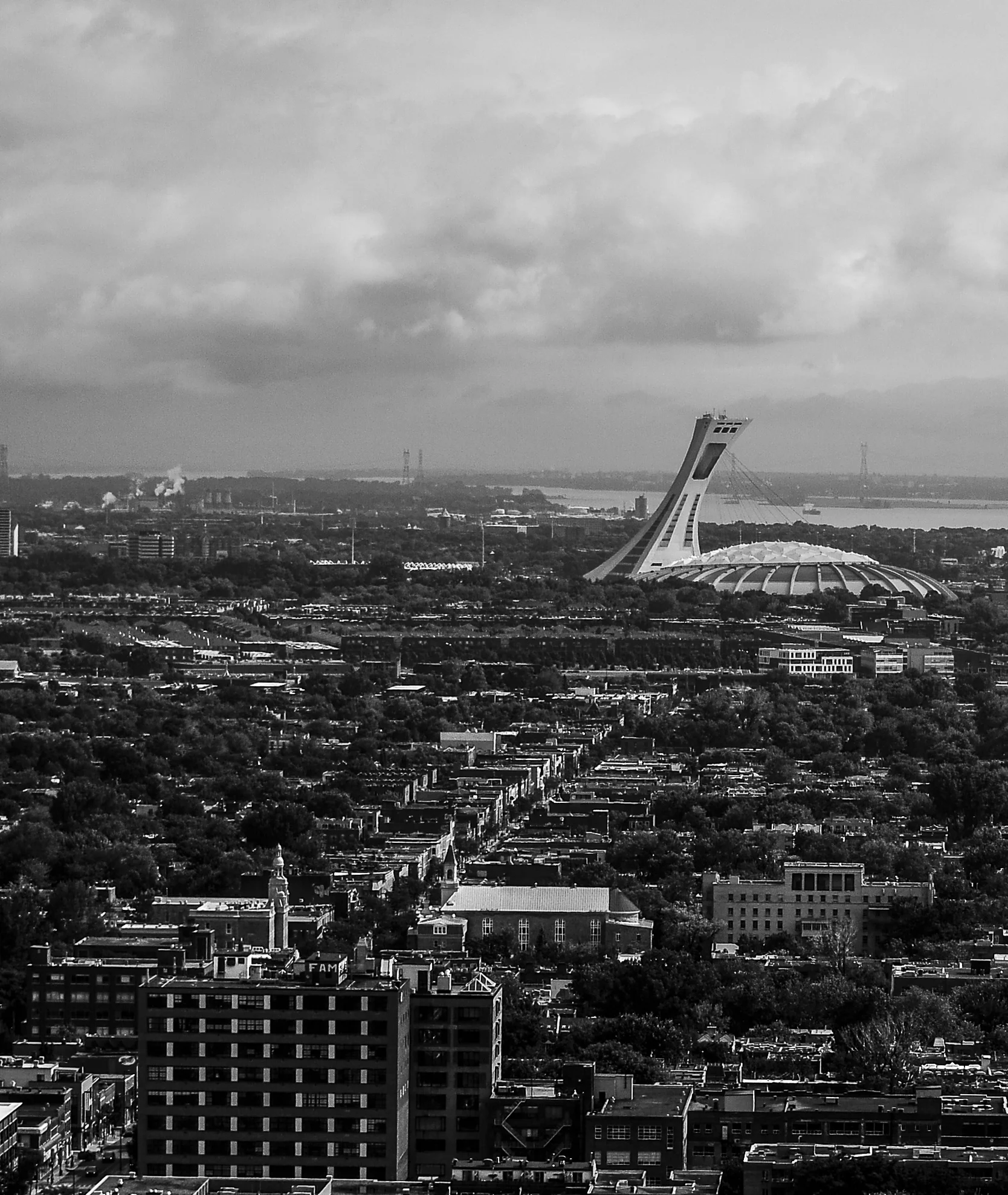 _DSC8586.JPG