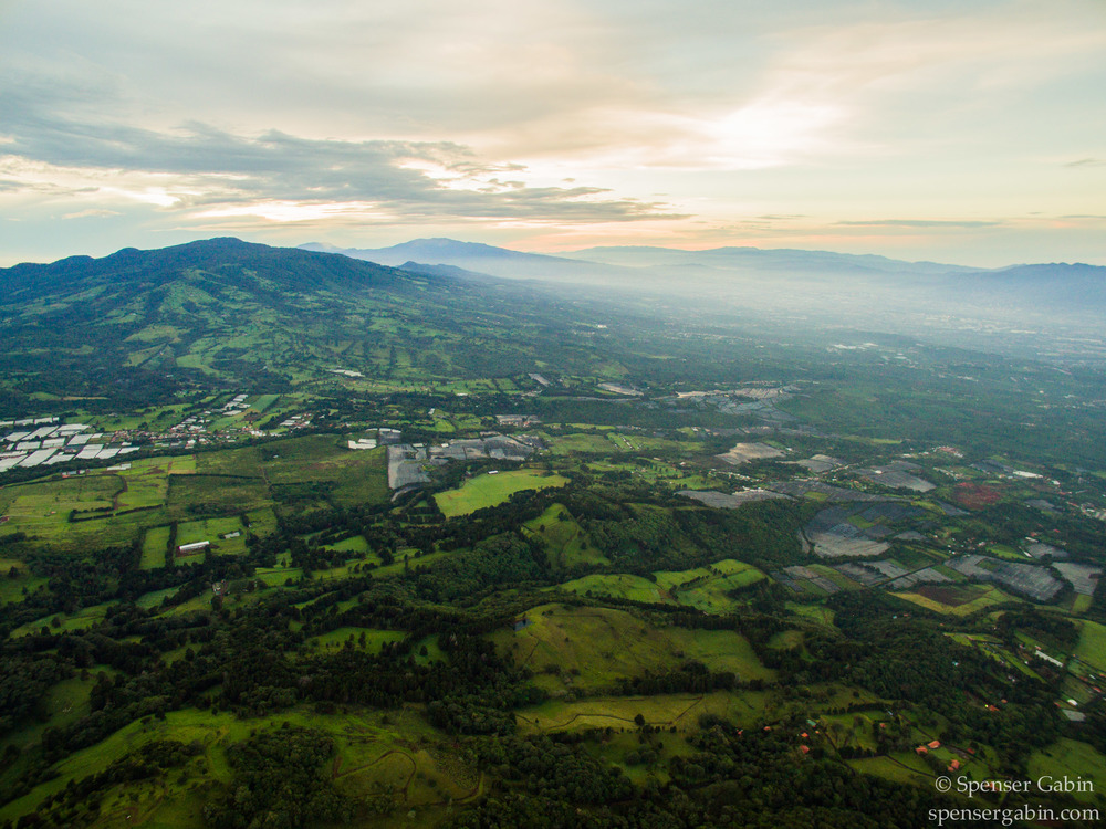 Heredia