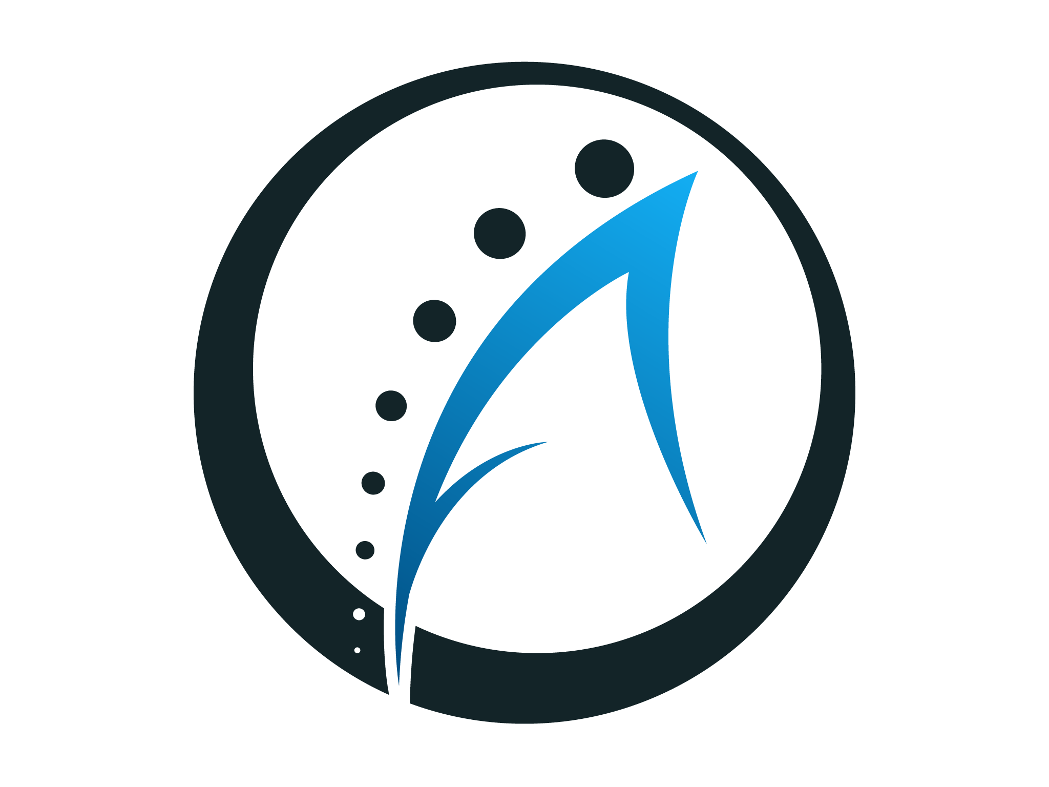 alpine-security-logo.jpg