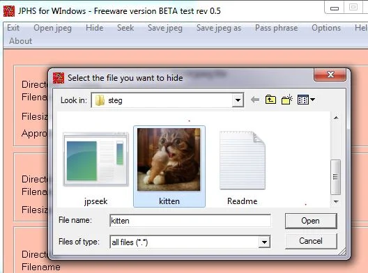 Selecting the Hide file in JPHS for Windows
