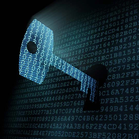 The Black Box Penetration Test revealed a Critical finding that resulted in full Active Directory Domain compromise