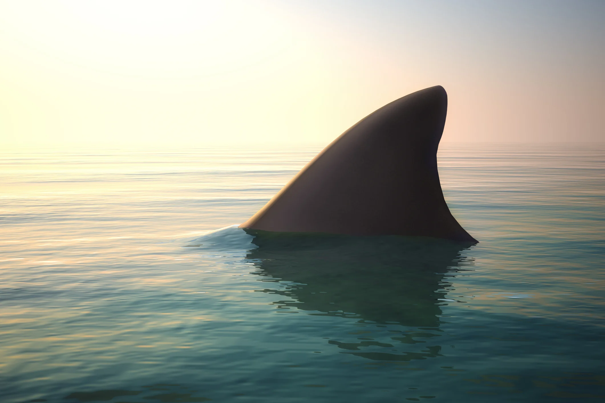 Advanced Network Traffic Analysis with Wireshark Training