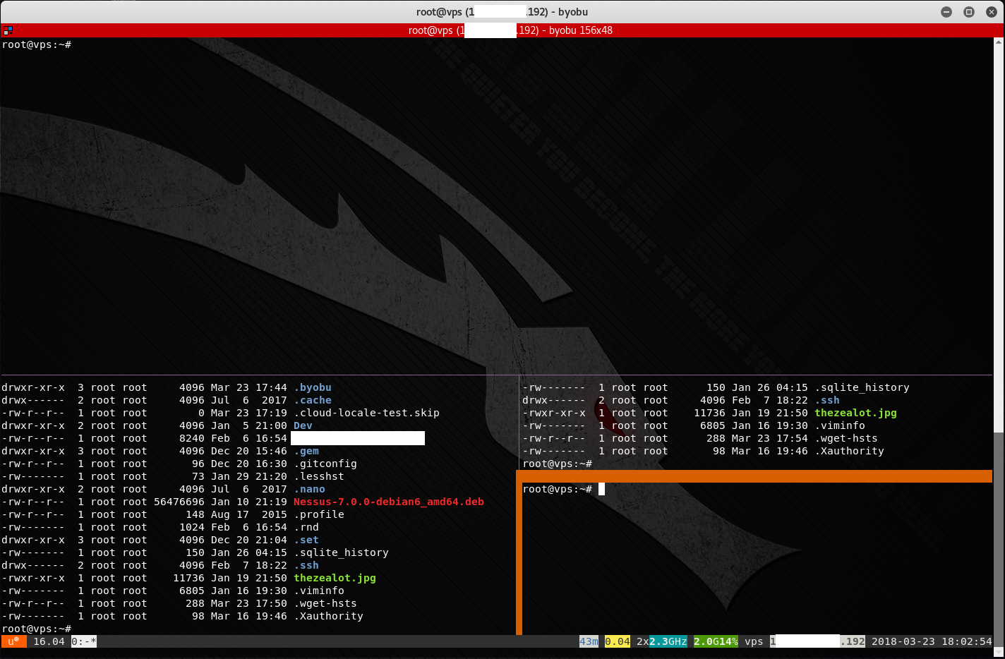 byobu with split windows