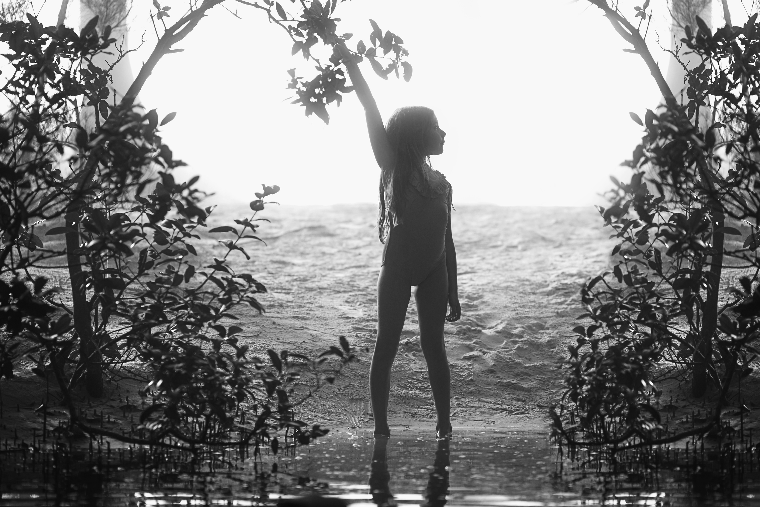 Like a Mangrove