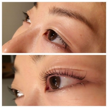 Sample of eyelash lifting and tinting