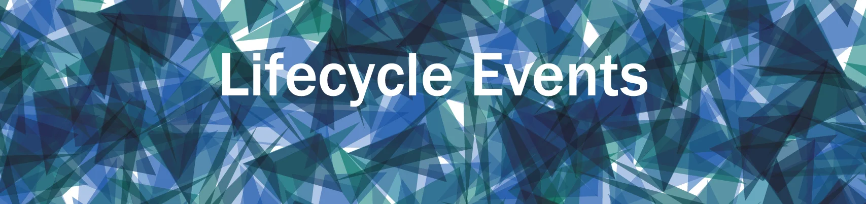 banner lifecycle.jpg