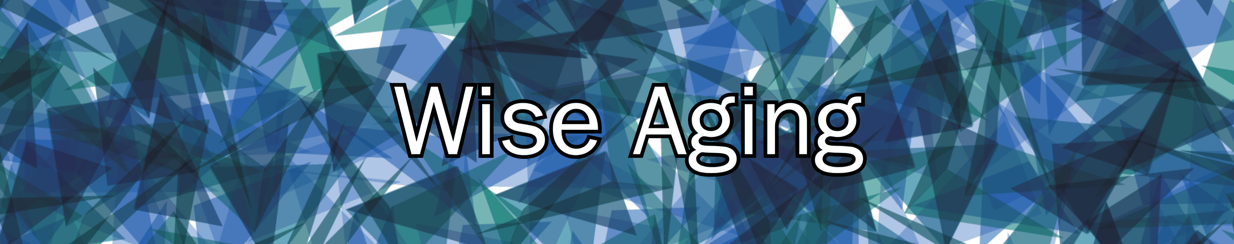 Wise Aging banner - white font.png