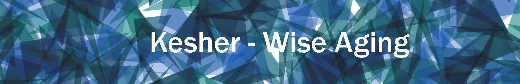 Kesher Wise Aging website banner copy.jpg