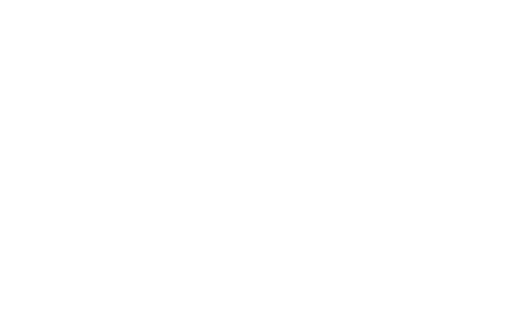 RIFF_Directors_WHITE.png