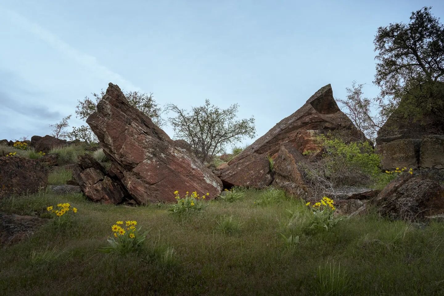 Another interesting moment in Rock Island. The foothills are so flowery and green this year!
#idahome #landscapephotography #boisefoothills #boiseidaho