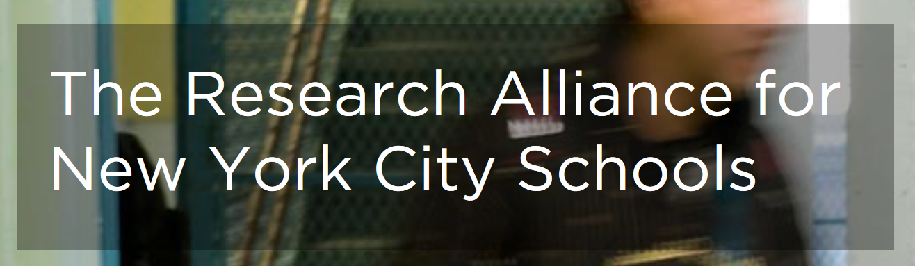 Senior Technical Advisor at RANYCS