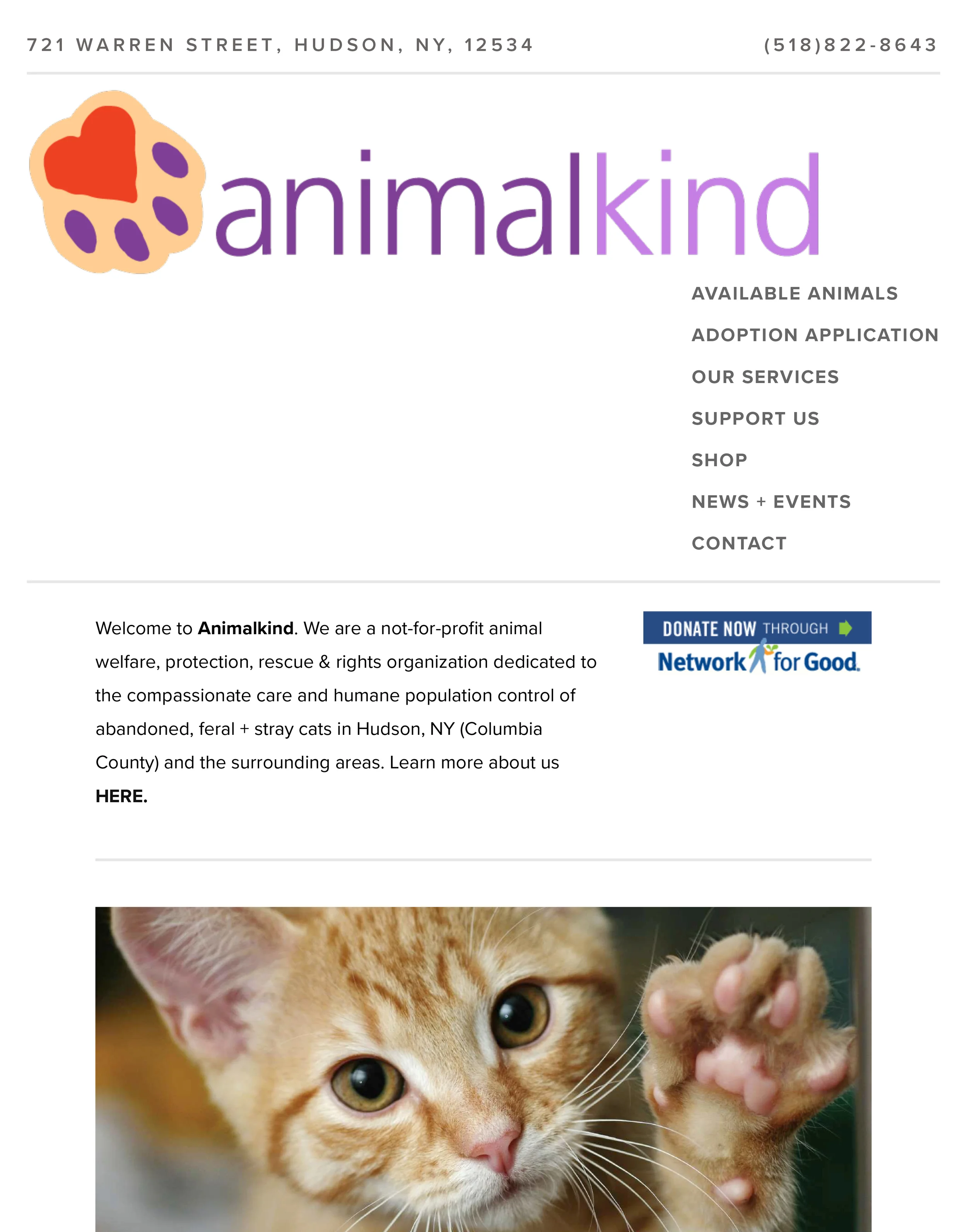 animalkind-1.jpg