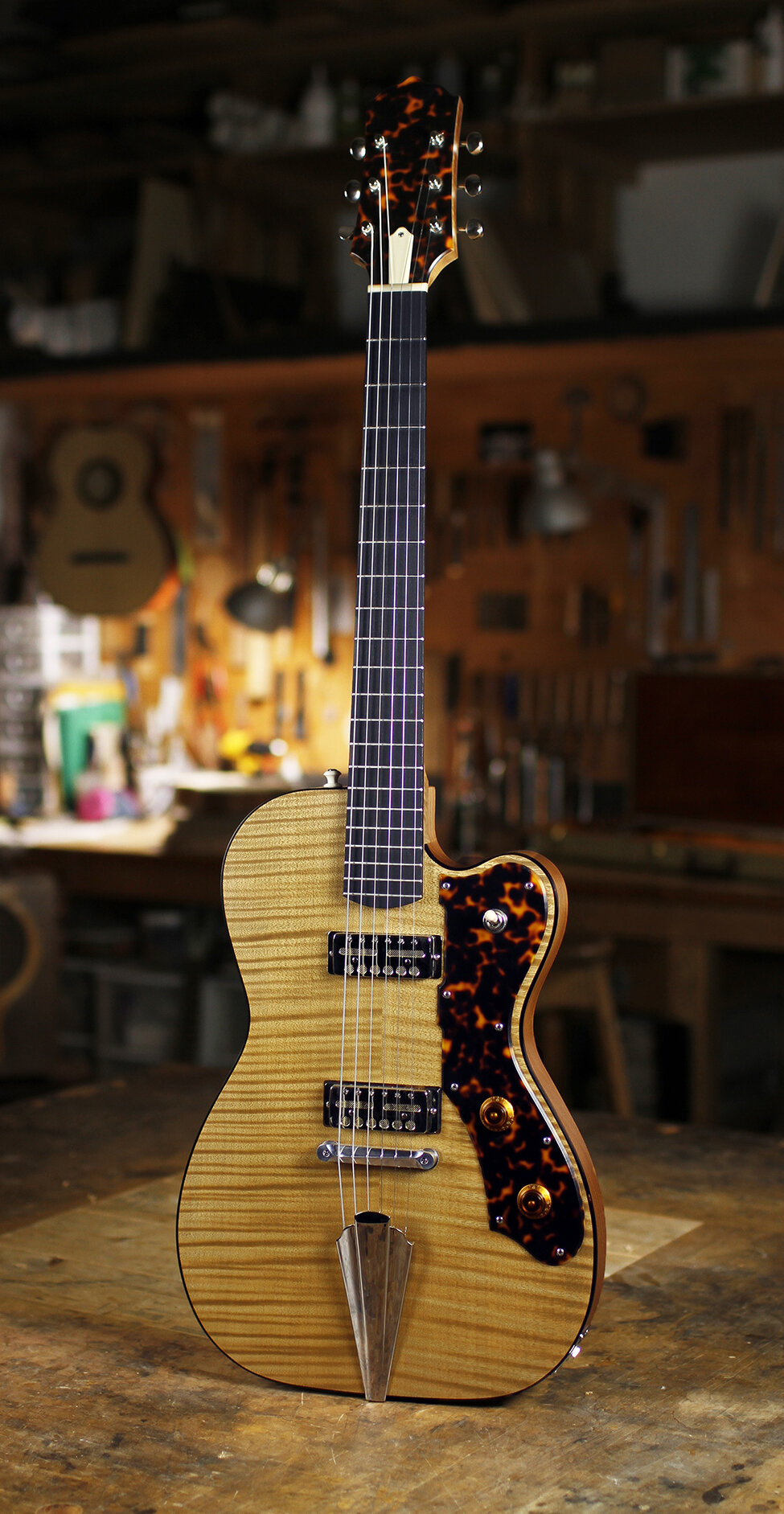 Curly maple - Tortoise - Lollar gold foils
