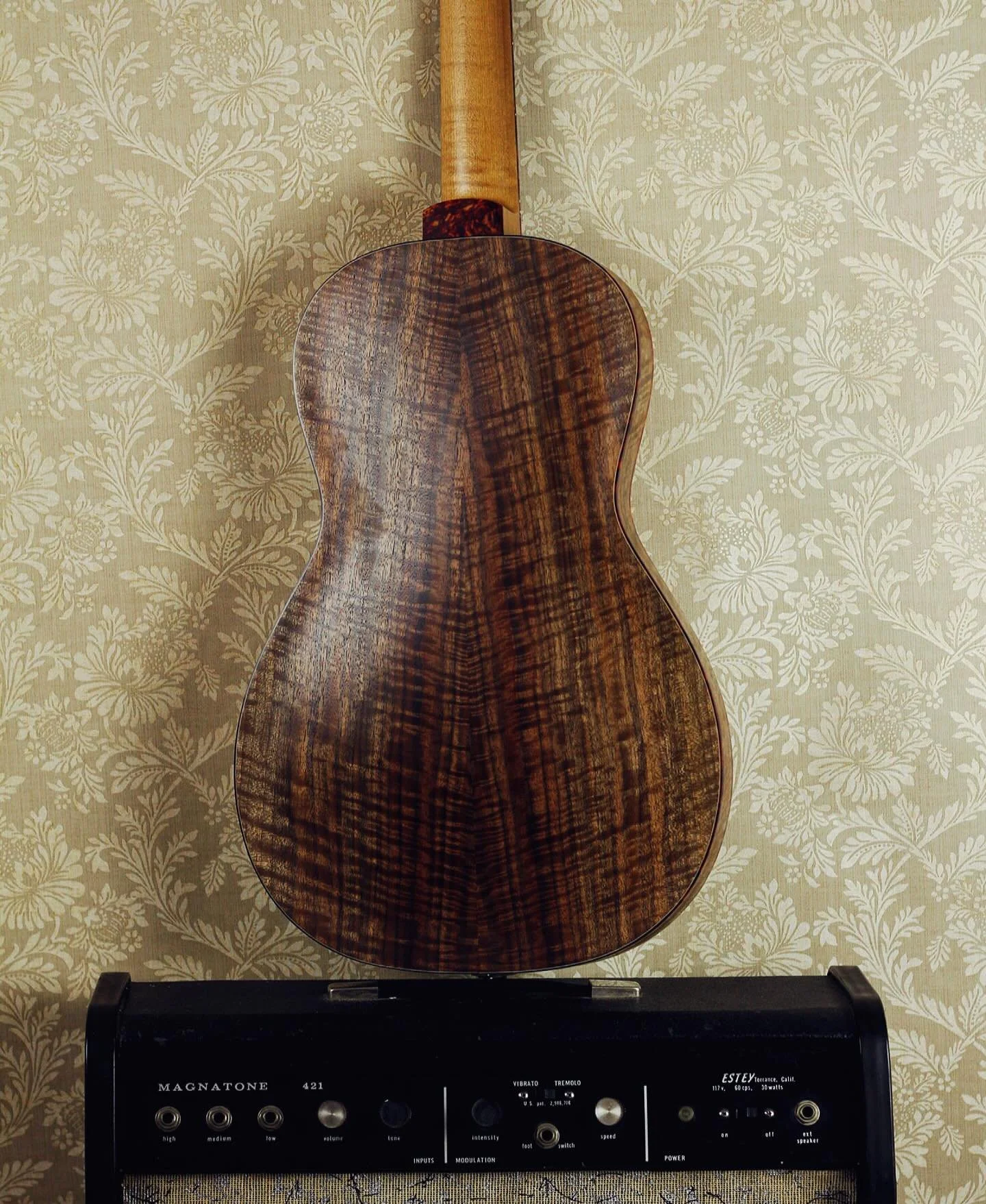Here is a shot of the walnut body (with open grain finish) on this most recent Rosetta M2 &mdash; this is a super-thin (1.75&rdquo;) full hollow archtop with a cedar top.
 
The instrument is special in many ways, including an all-tortoise fingerboard