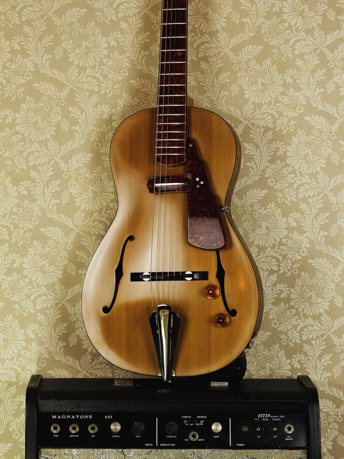 One last shot of this recently completed Rosetta M2 &mdash; a thin 1.65&rdquo; fully hollow archtop with a cedar top and figured Bastogne walnut back and sides.
 
The instrument is special in many ways, including an all-tortoise fingerboard, headstoc
