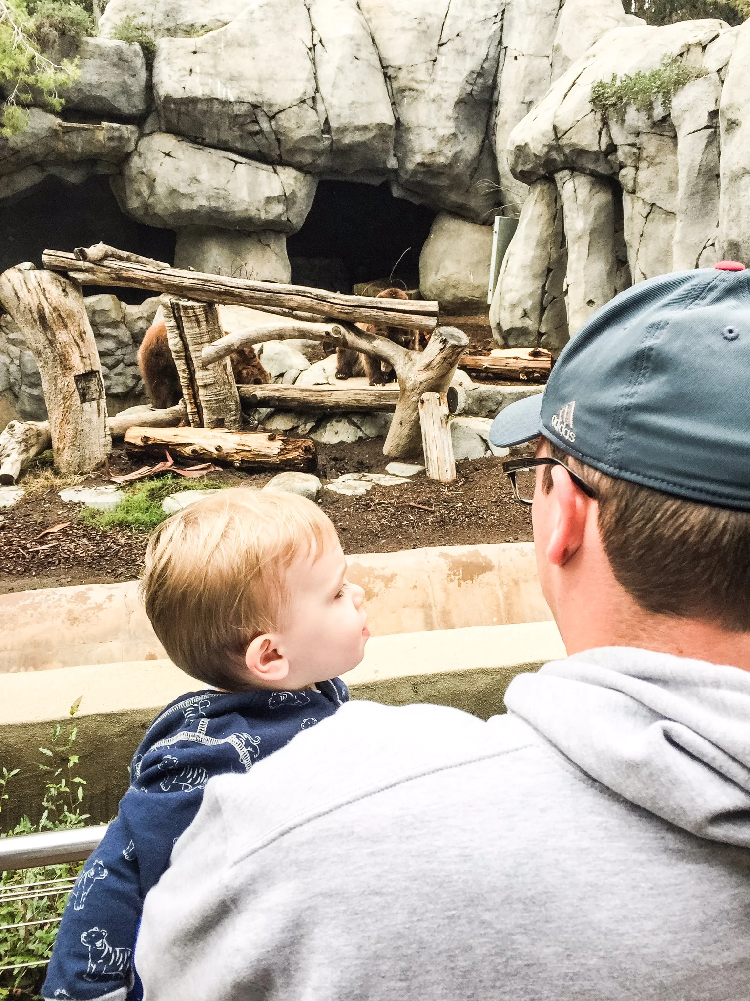 Grizzly Bears at San Diego Zoo