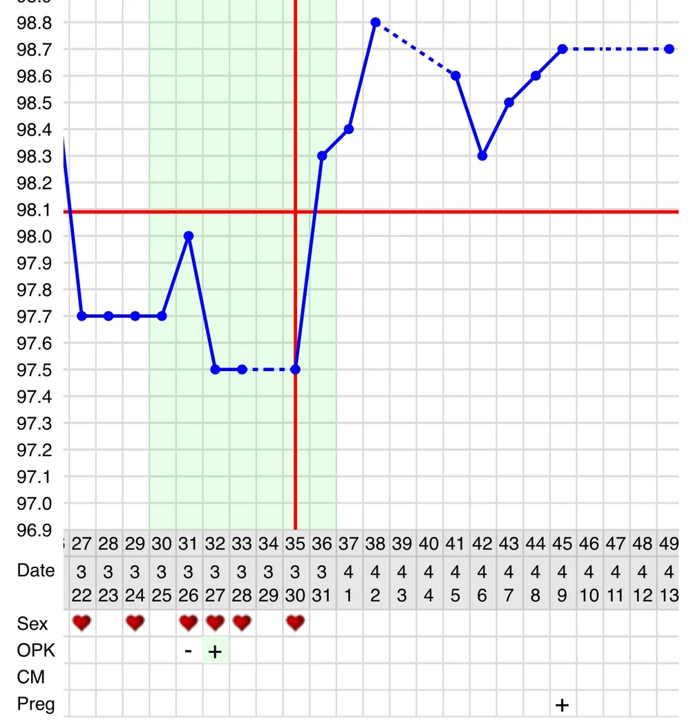 Understanding Subfertility Charting Basal Body Temperature First Thyme Mom