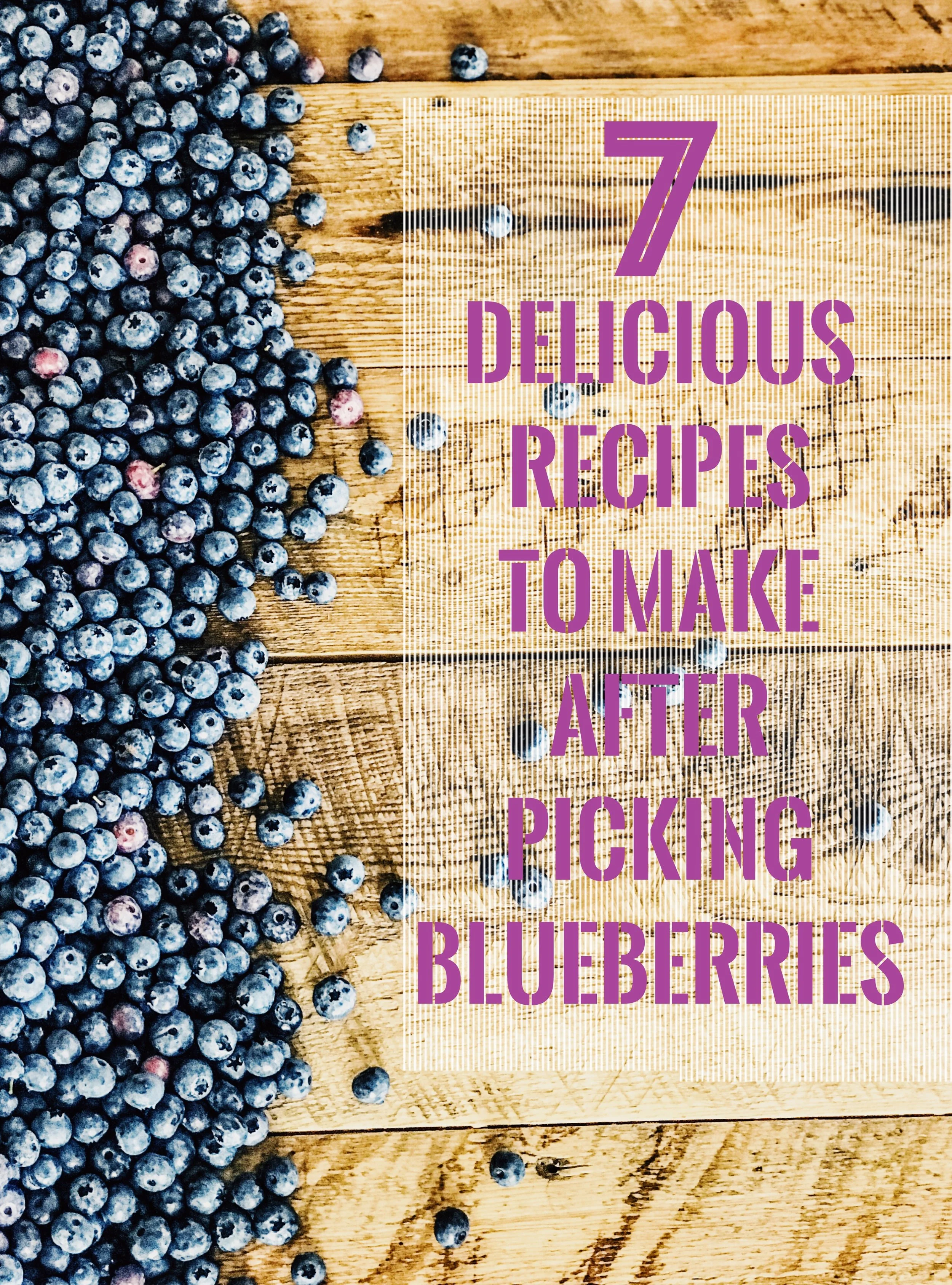 7 Recipes To Make With Blueberries. How to make Blueberry Jam, Blueberry Ice Cream, Blueberry Pancakes, Blueberry Yogurt Berries, Blueberry Peach Salsa, Blueberry Pie, Blueberry Angel Food Cake Whipped Topping Dessert. Blueberry appetizers.