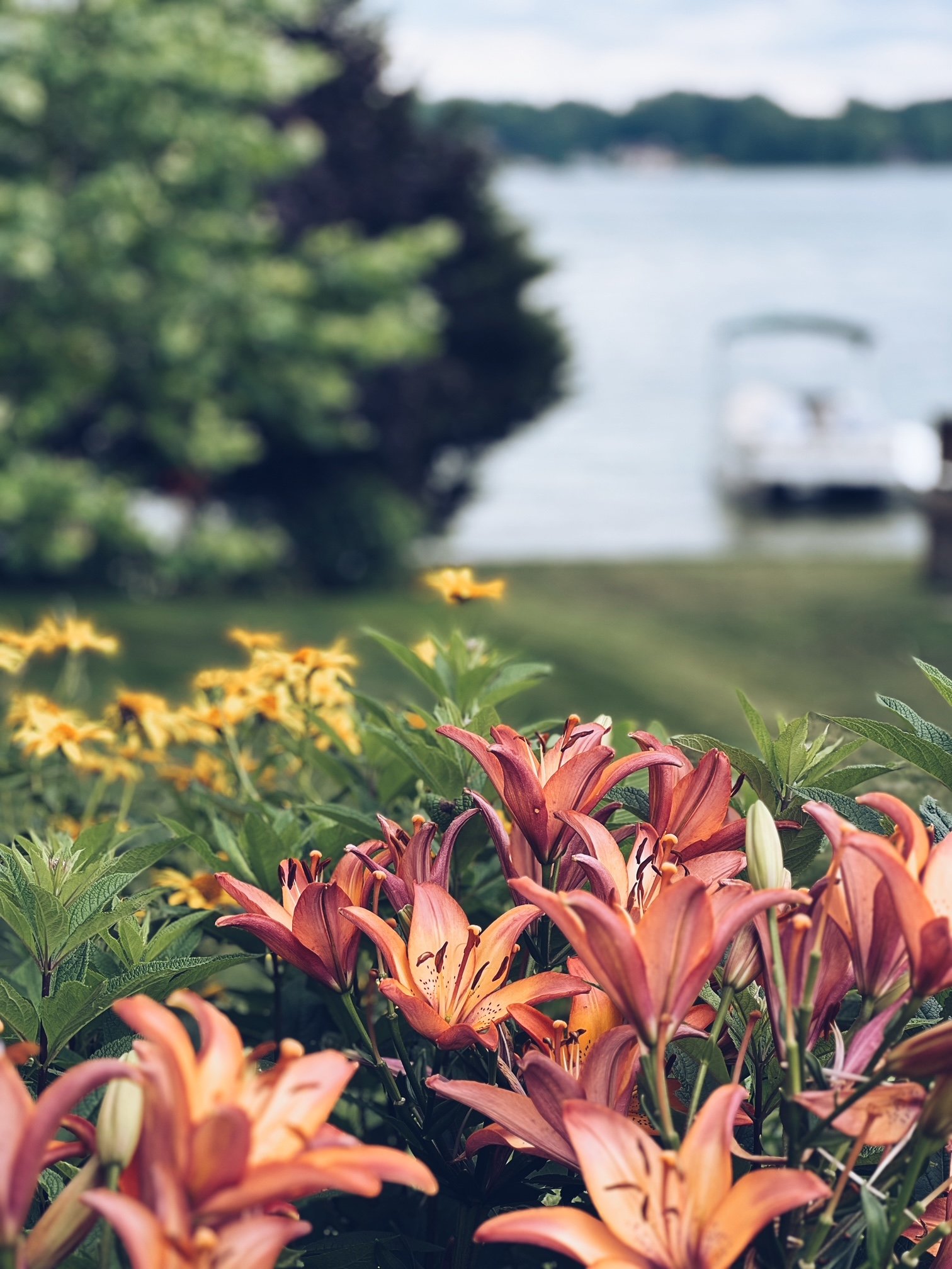 Summer is Ending - Back To School