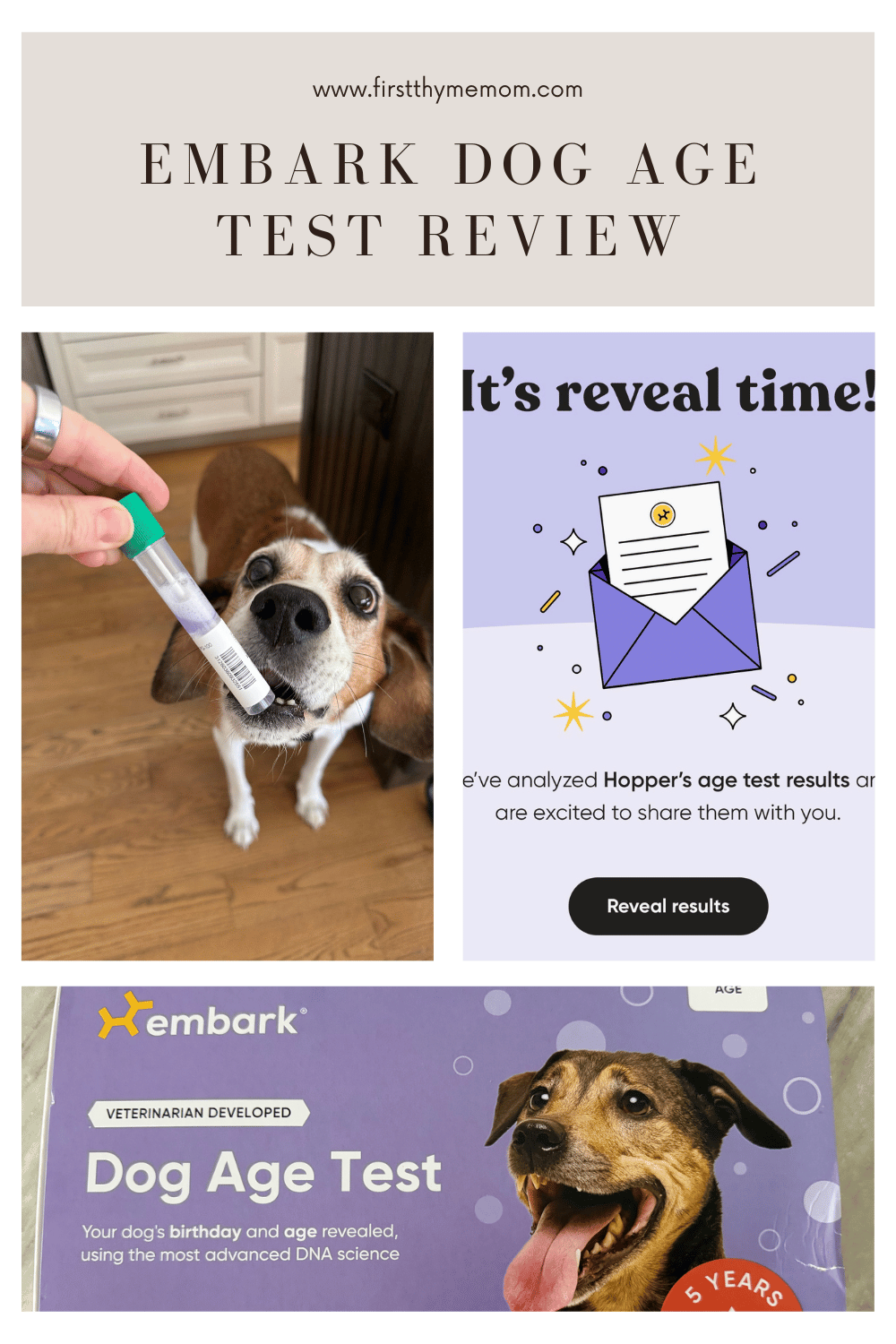 Review of the Embark Dog Age Test Review. Results are compared to an AI estimate.