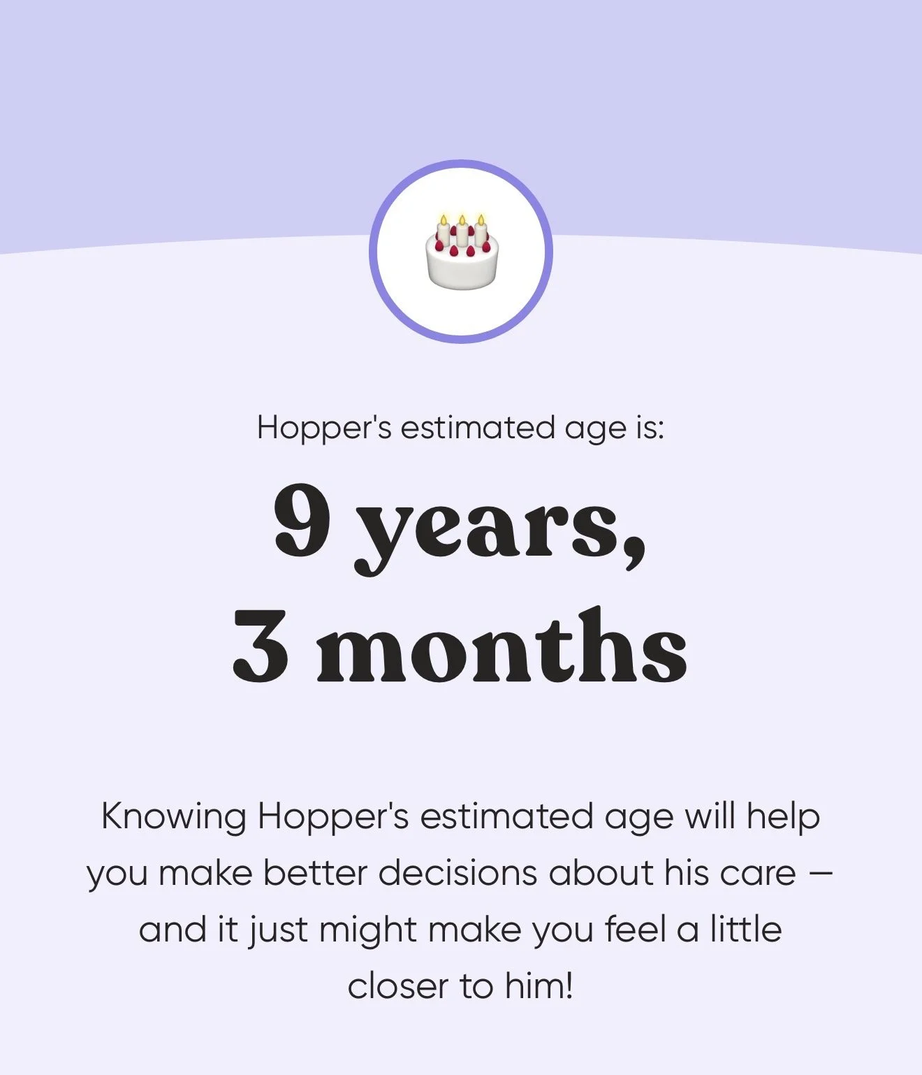 Opening the results of my dog's DNA age kit test to find out he is 9 years and 3 months old.