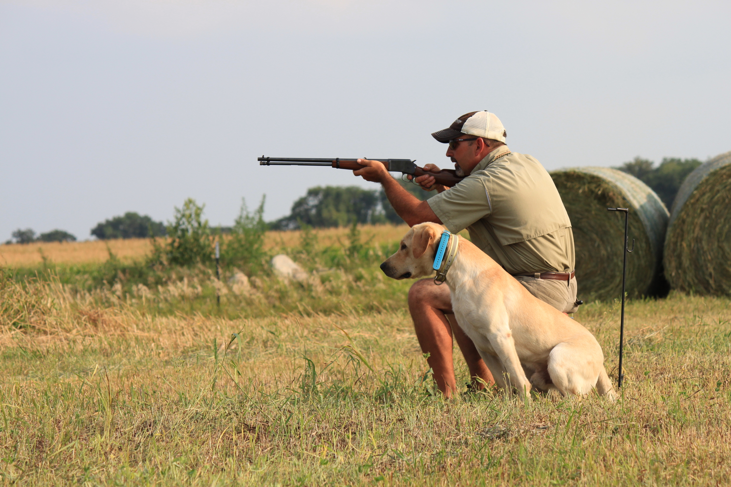   Northern Plains Retrievers   Training and Breeding Superior Labrador Retrievers That Can Do It All 