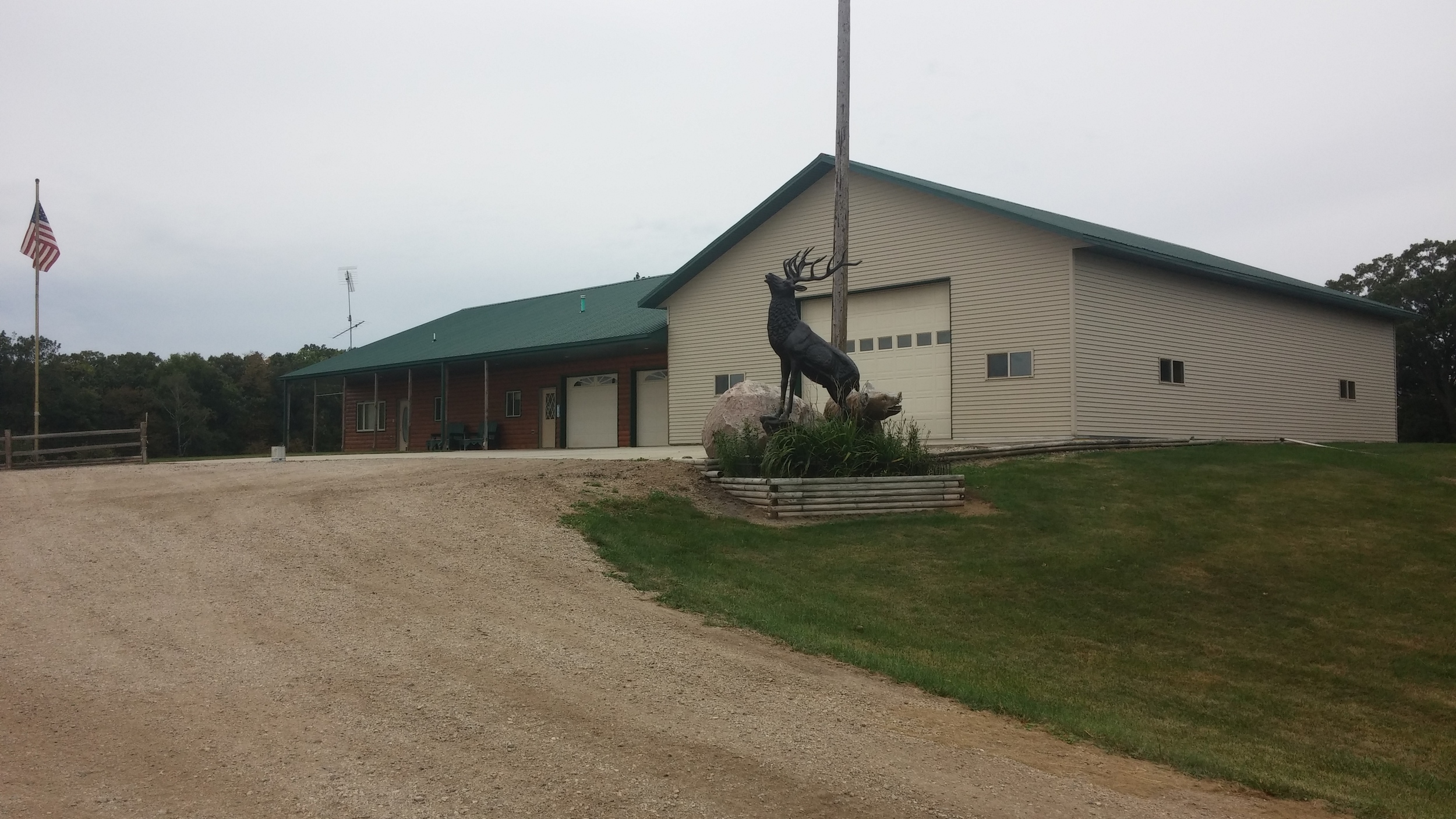 First class labrador retriever training facilities