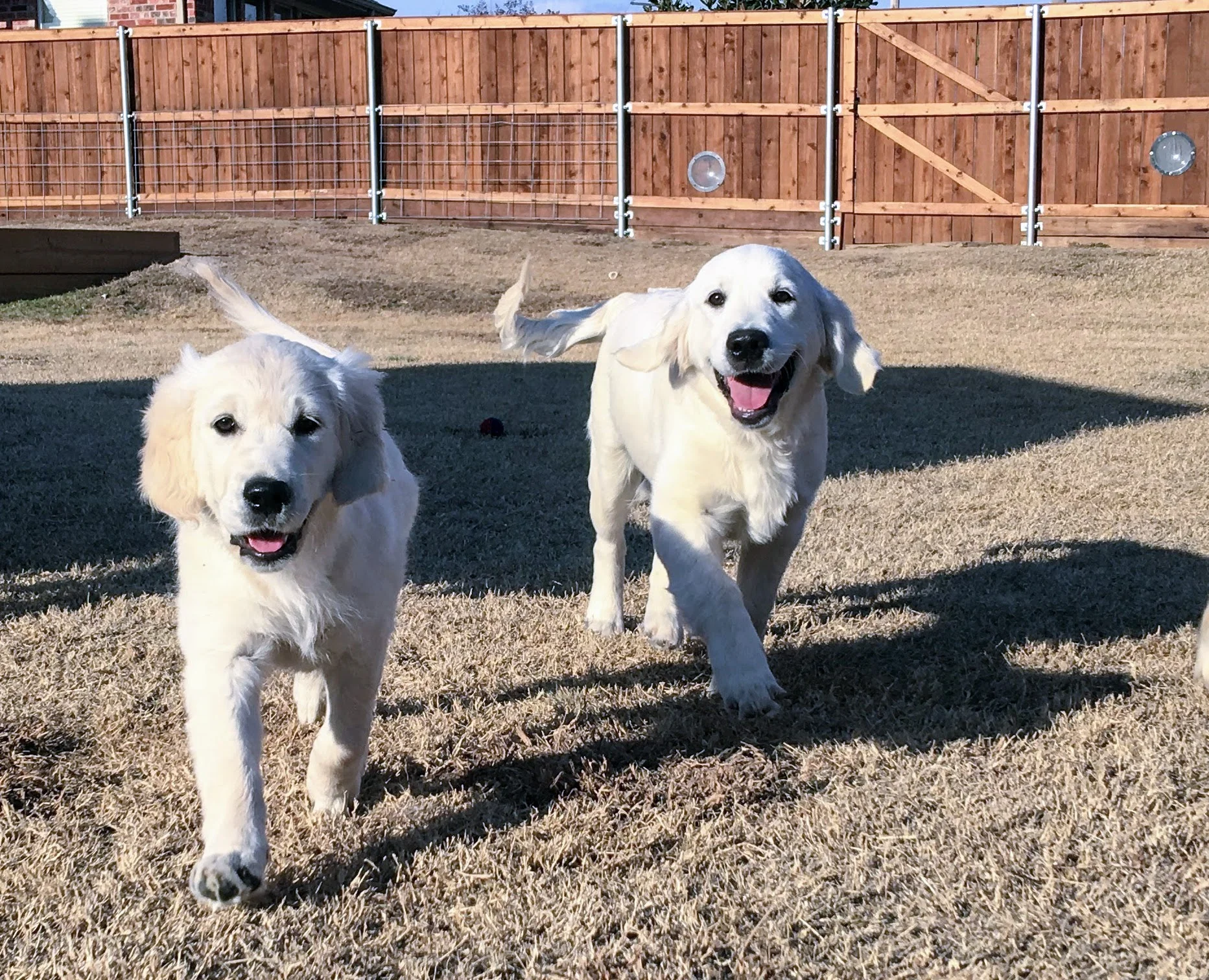 Keira's Promised Love and Murphy's Promised Love